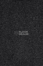 Ковролин AW Masquerade Moana 99 фото 1 | FLOORDEALER